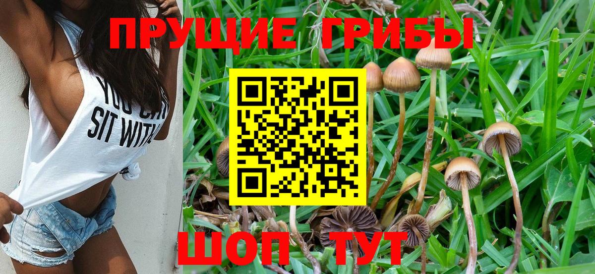 Галлюциногенные грибы Magic Shrooms Волхов