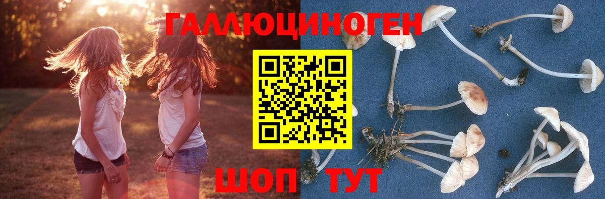 Псилоцибиновые грибы мухоморы  Вход с VPN  Волхов 